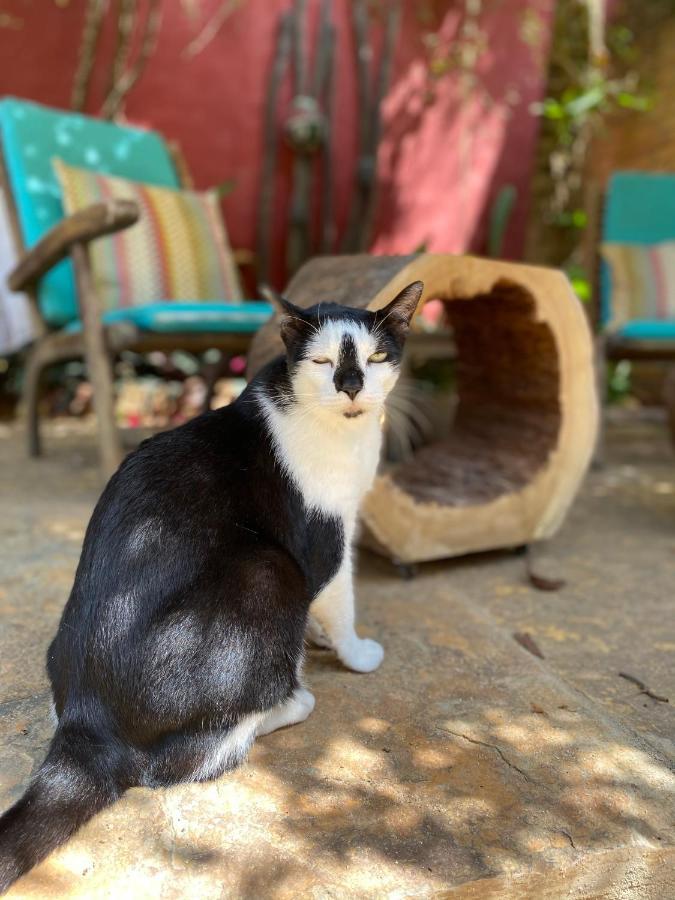 Cumelen Villa Jijoca de Jericoacoara Bagian luar foto