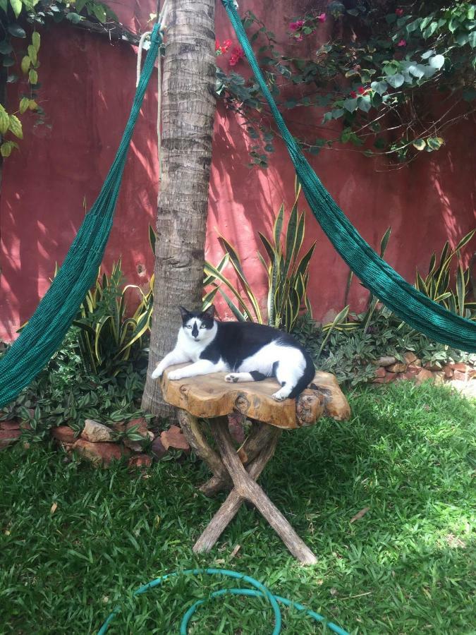 Cumelen Villa Jijoca de Jericoacoara Bagian luar foto